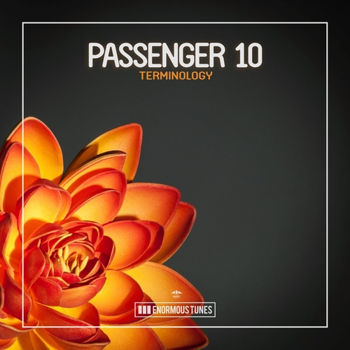 Passenger 10 - Terminology [ETR653]